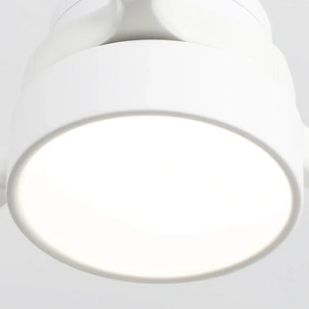 White / White