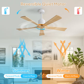 White Body Burly Color Blade