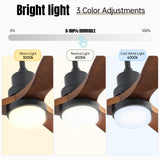 Black Body Walnut Color Blade