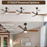 Black Body Walnut Color Blade