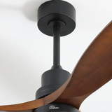 Black Body Walnut Color Blade