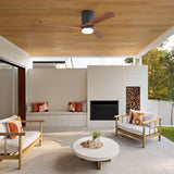 Black Body Walnut Color Blade