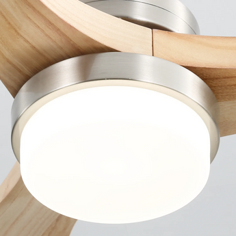 Brushed Body Burly Color Blade