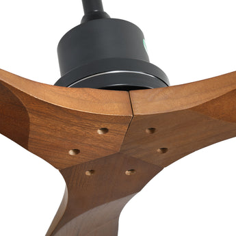 Black Body Walnut Color Blade