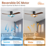 Black Body Walnut Color Blade