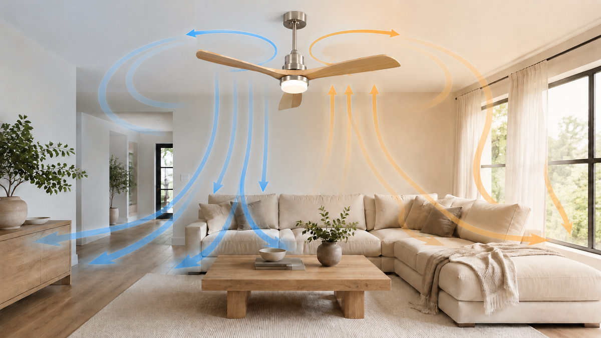 Ceiling Fan Direction Guide: Summer vs. Winter